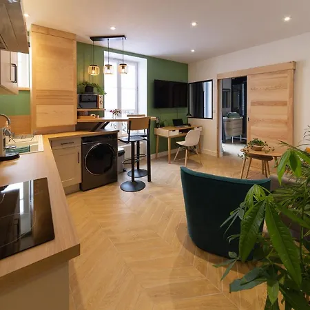 Gaillard Centre Ville & Parking Appartement *